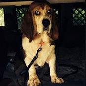 Sandy Helbling's photo