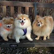 Sandy Chruszczak's photo