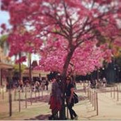 Brandy Harper's photo