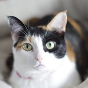 Lori Russell's photo