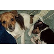 Kim Riley's photo