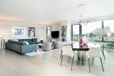 Living room - contemporary living room idea in DC Metro