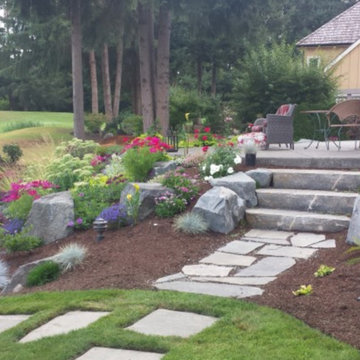Our Work