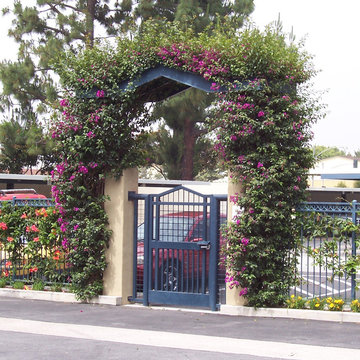 Steel Arbor & Gate