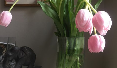 本と植物で楽しむ、シンプルな棚のディスプレイ