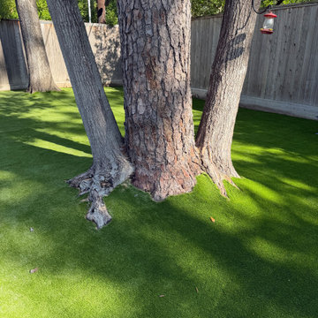 Memorial - Turf