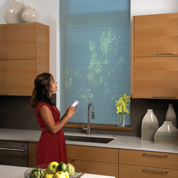 Window Treatment Automation