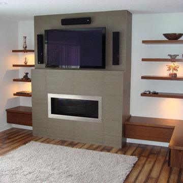Contemporary Fireplaces