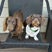 Karen Long's photo