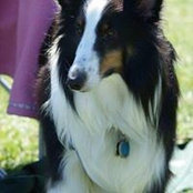 Photo de Terri Stenquist