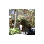 River House's photo