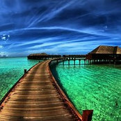 Jasem yazdany's photo