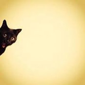 Gabriela Moore's photo