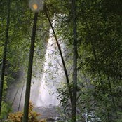 Foto von Lauret Allen
