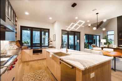 Inspiration for a contemporary kitchen remodel