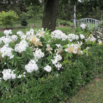 Beth's Gardens 2017