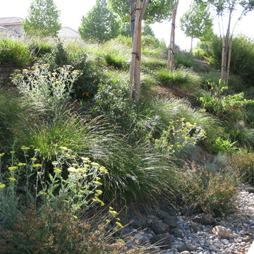 Natural Drainage