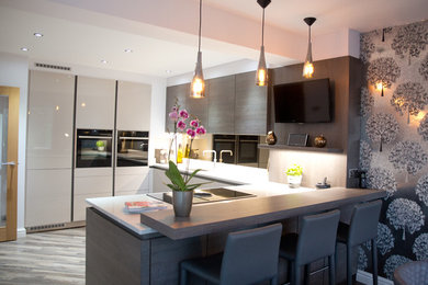 This is an example of a contemporary kitchen in Other.