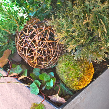 Winter Container Gardens