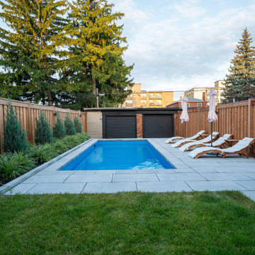 Narrow-Lot Backyard Pool with Paver Deck, Cedar Privacy Fence & Layered Planting