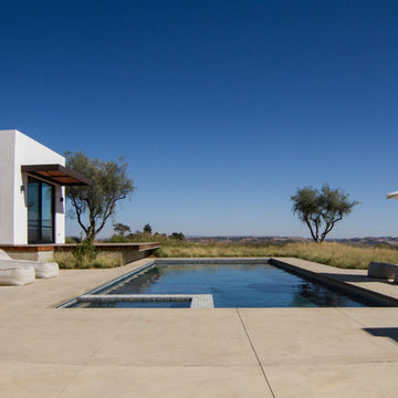 Modern Vineyard