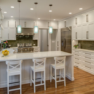 San Francisco Sea Cliff Transitional Kitchen