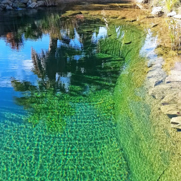 Piscinas ecológicas