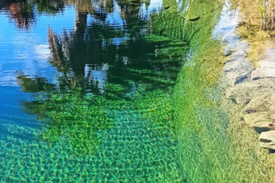 Foto de piscina natural de tamaño medio