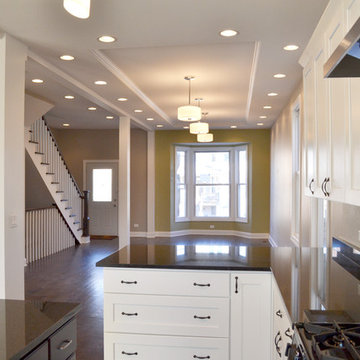 Wicker Park Two-Flat Single Family Gut Rehab - Kitchen