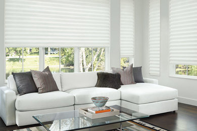 Inspiration for a modern dark wood floor living room remodel in Tampa with white walls
