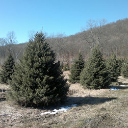 NYS Farms - Products