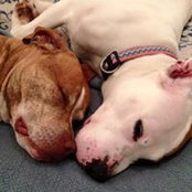 Mary Neidich's photo