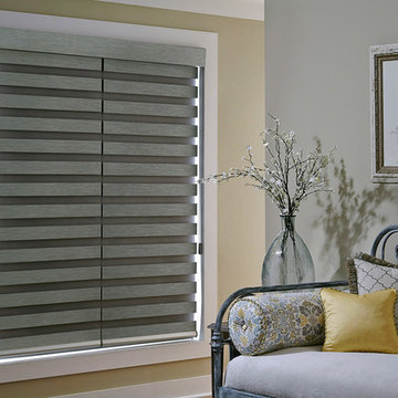 Allure Transitional Shades