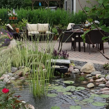 Ponds