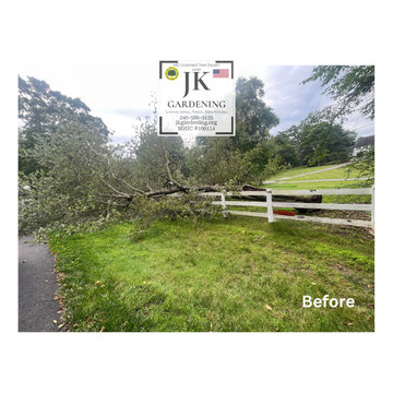 Tree Removals