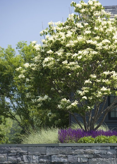 Морской Сад by Wagner Hodgson