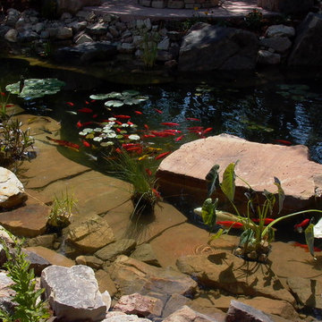 Beautiful Waterfall And Koi Pond - Greeley, CO