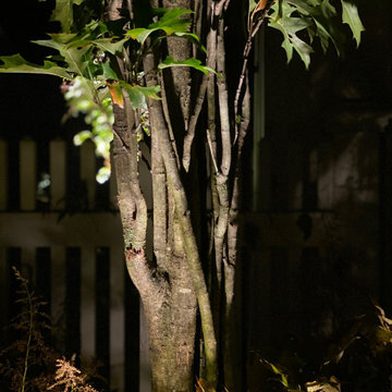 Beauty in the dark