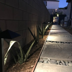 Escobedo - Path Lights