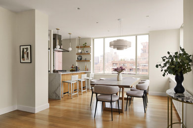 Kitchen/dining room combo - mid-sized contemporary light wood floor and beige floor kitchen/dining room combo idea in New York