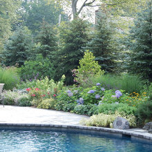 Pool Landscaping Ideas