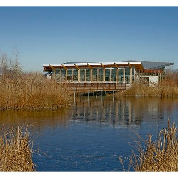 Wetland Discovery Point