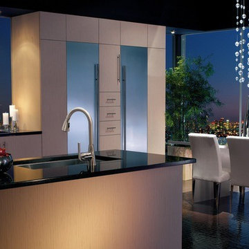 Modern Urban Condo Kitchen