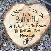 Maggie Mueller's photo