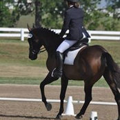 Francesca Spoltore's photo