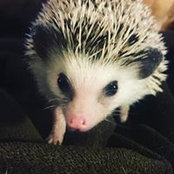 Kelly Carpenter's photo