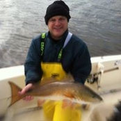 George Bull's photo
