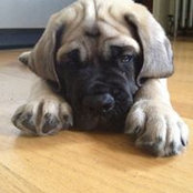 Sarah Klump's photo