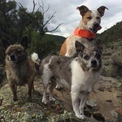 Geoff Thorsen's photo