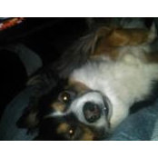 Lynn Beasley's photo